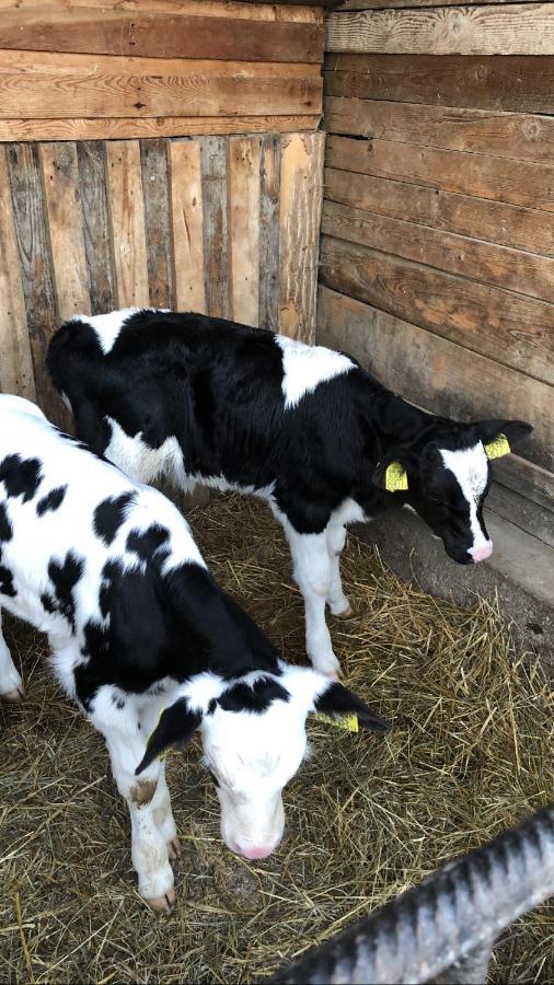 Nyerges Lovasudvar Cserepfalu Buitenkant foto